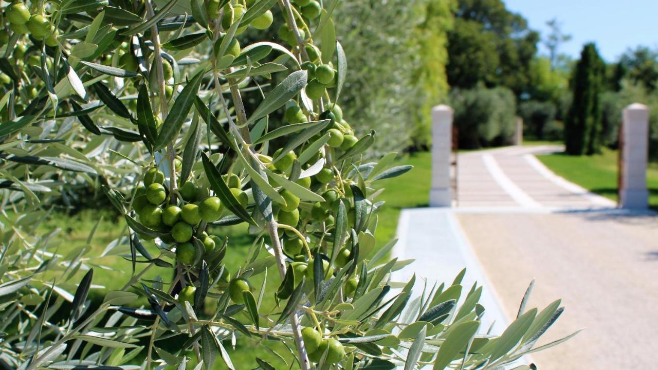 Borgo Romantico Green Relais Cavaion Veronese Ngoại thất bức ảnh
